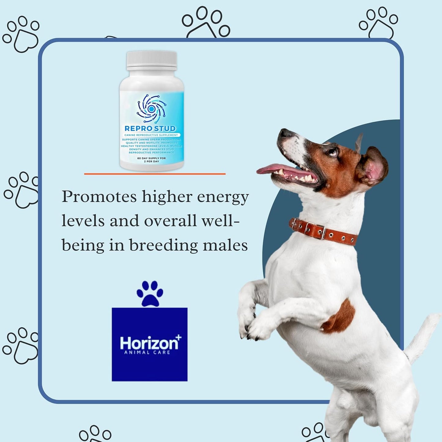 Canine Reproductive Health Supplement for Stud Dogs - Boosts Breeding Performance, Energy & Testosterone - 60-Day Supply by Breeder’s Pride