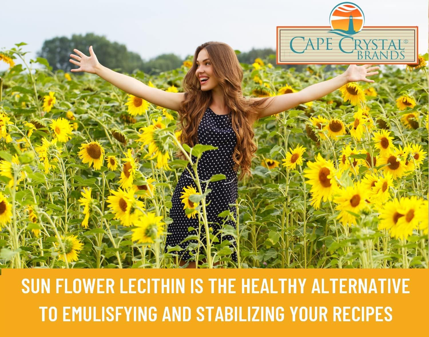 Cape Crystal Sunflower Lecithin Powder - 100% Natural & Gluten-Free (2 oz) - Vegan & Non-GMO Soy Alternative