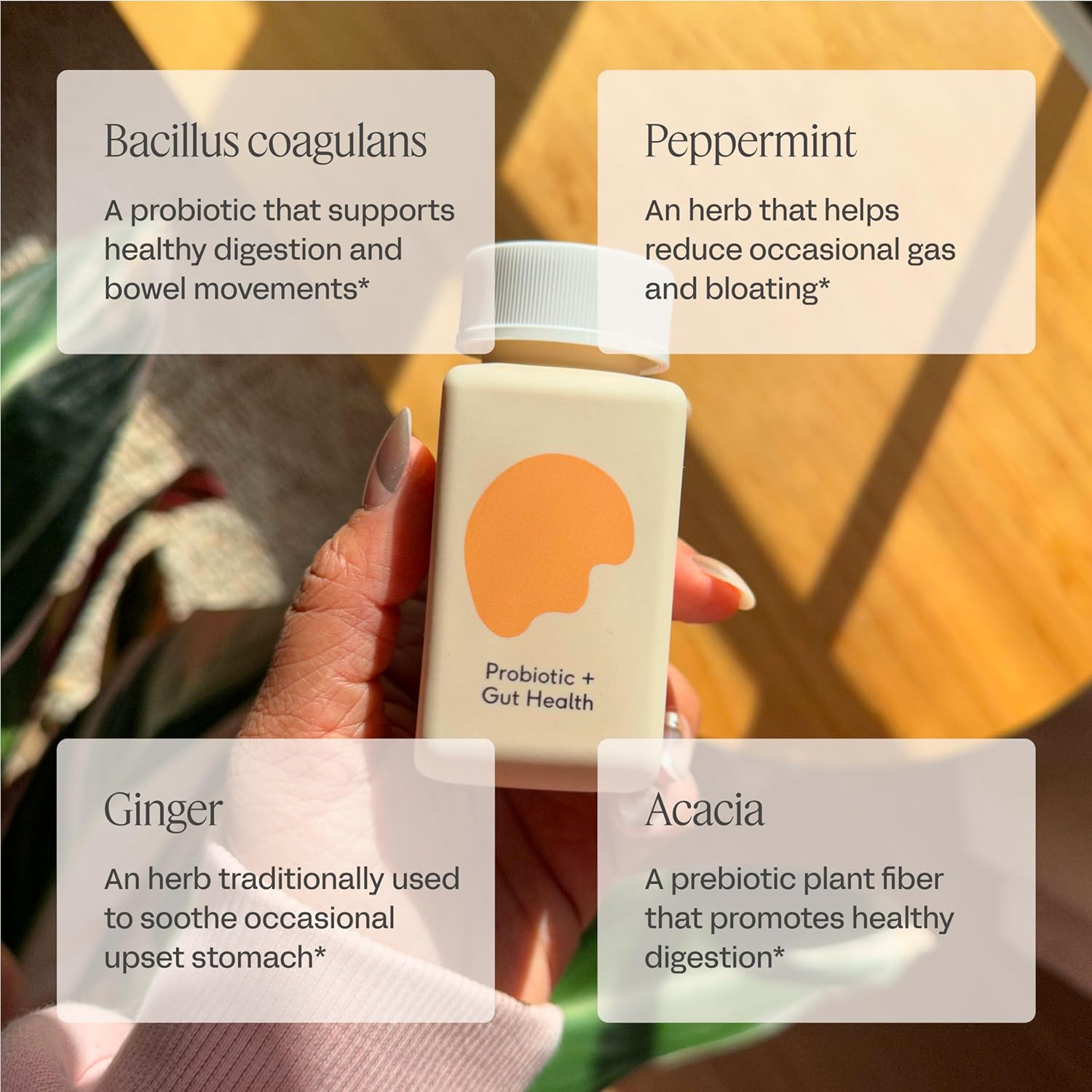 Care/of Probiotic Supplement for Gut Health with Wellness Tracker App - Supports Digestive Health, Relieves Gas & Bloating - Sugar-Free, No Fillers - 25 Count