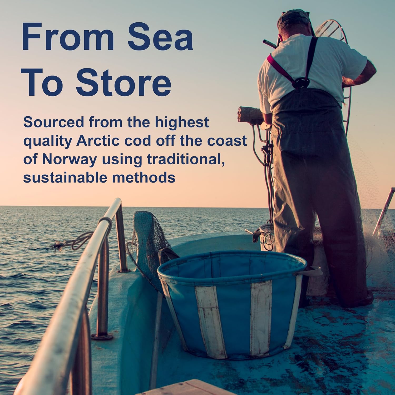 Carlson Norwegian Arctic Cod Liver Oil Liquid Supplement 1100mg Omega-3 Lemon Flavor 500ml