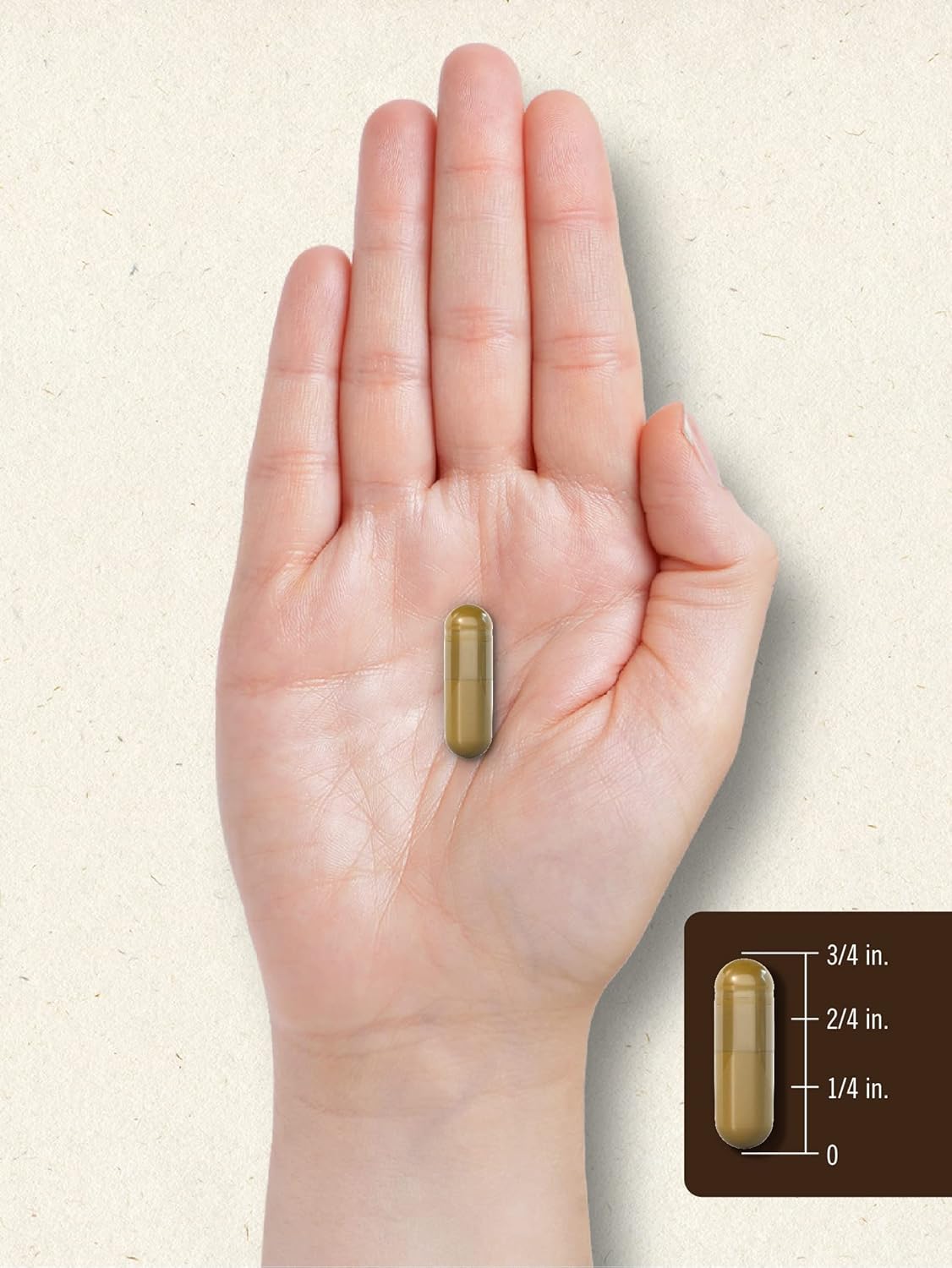 Carlyle Bee Propolis Capsules 600mg - 150 Count - Extract Supplement - Non-GMO and Gluten-Free