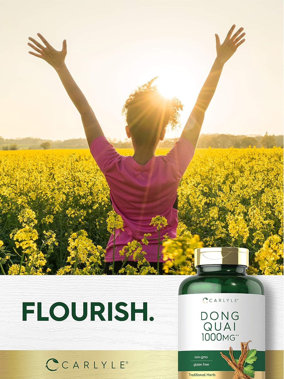 Carlyle Dong Quai Capsules 1000mg 250 Count Non-GMO & Gluten Free Herbal Supplement