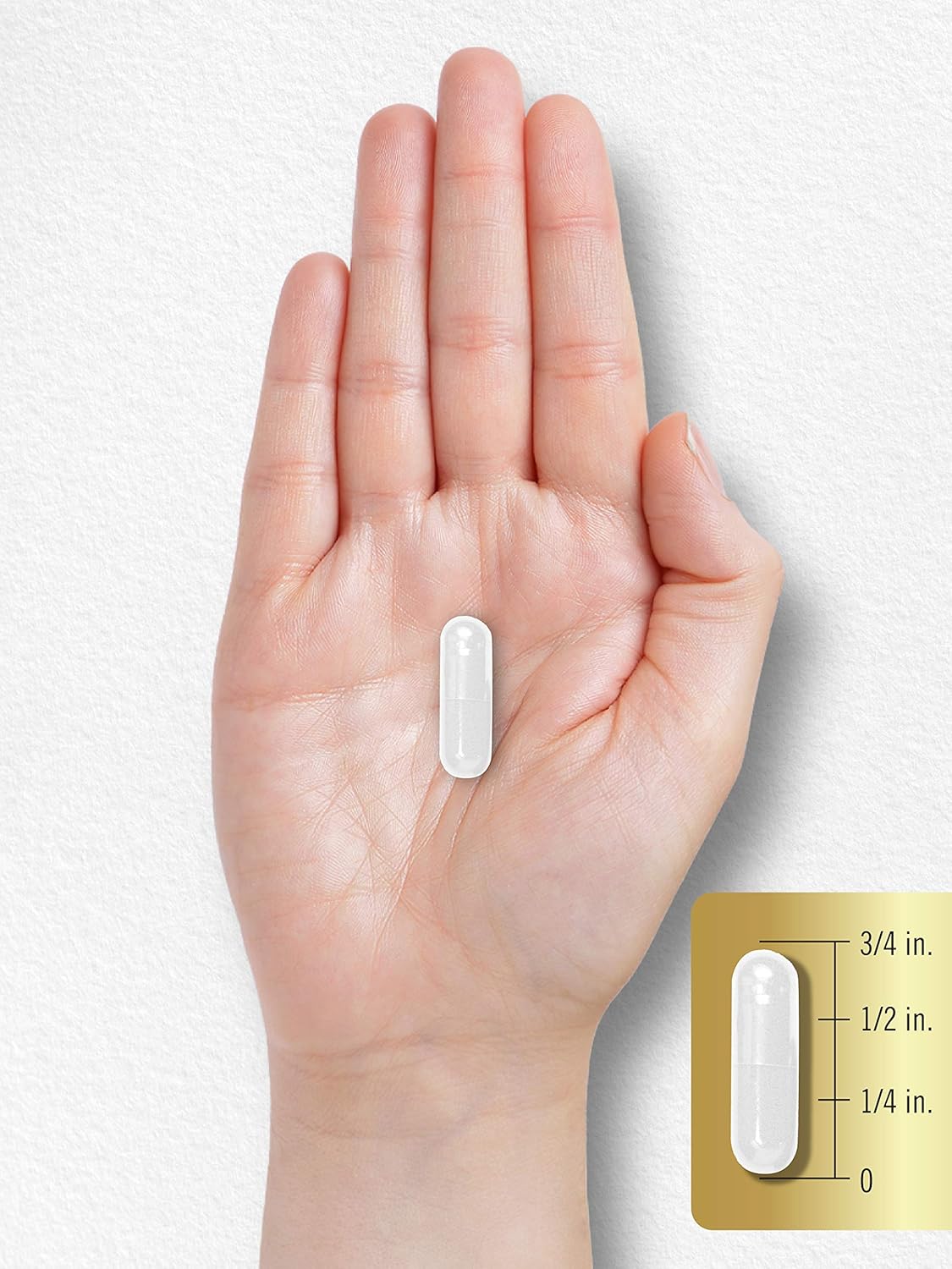 Carlyle L Glutamine Capsules 1500mg 240 Count for Athletes Pre and Post Workout Non-GMO Gluten Free