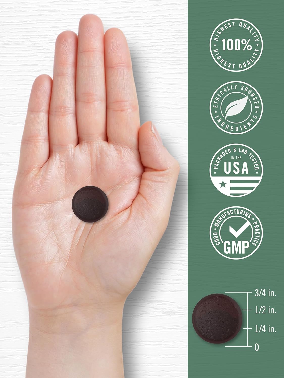 Carlyle Mushroom Supplement Gummies - 70 Vegan Gummies - 10-in-1 Blend - Non-GMO and Gluten-Free