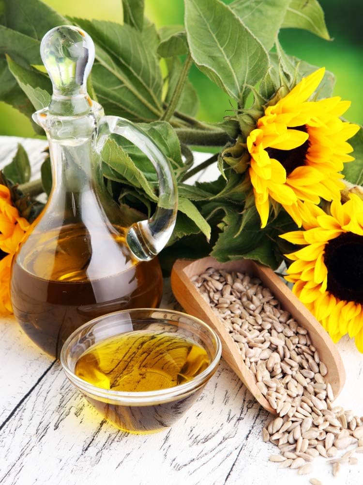 Carlyle Sunflower Lecithin Liquid 16 oz 2 Pack - Vegan Non-GMO Soy & Gluten Free