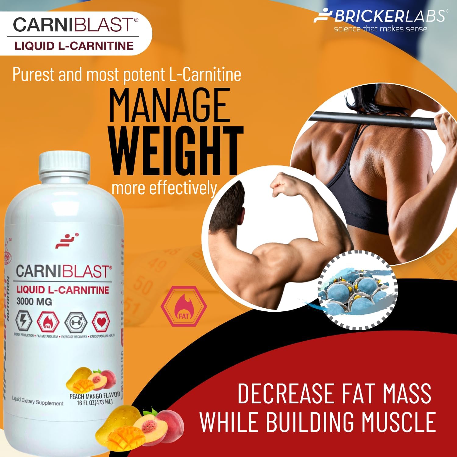 Carniblast Liquid L-Carnitine 3000 mg and Optiflow Blood Flow Supplement Combo, 60 Capsules - Boost Power and Performance