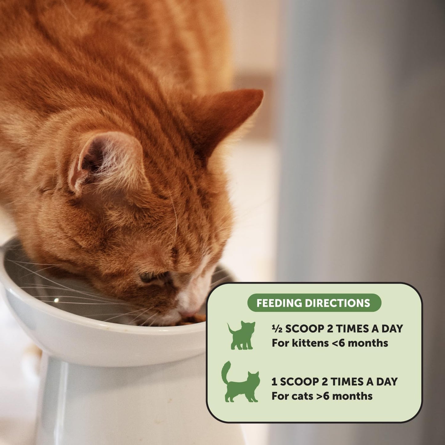 Cat Probiotic Powder Supplement for Digestive Support, Gut Health, and Immunity - 120 Scoops