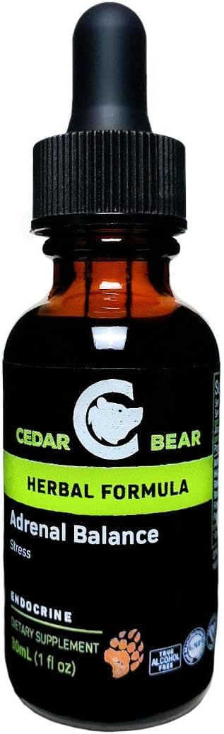 Cedar Bear Naturales Adrenal Balance Liquid Herbal Supplement with Adaptogens for Energy & Stress Management 1 fl oz