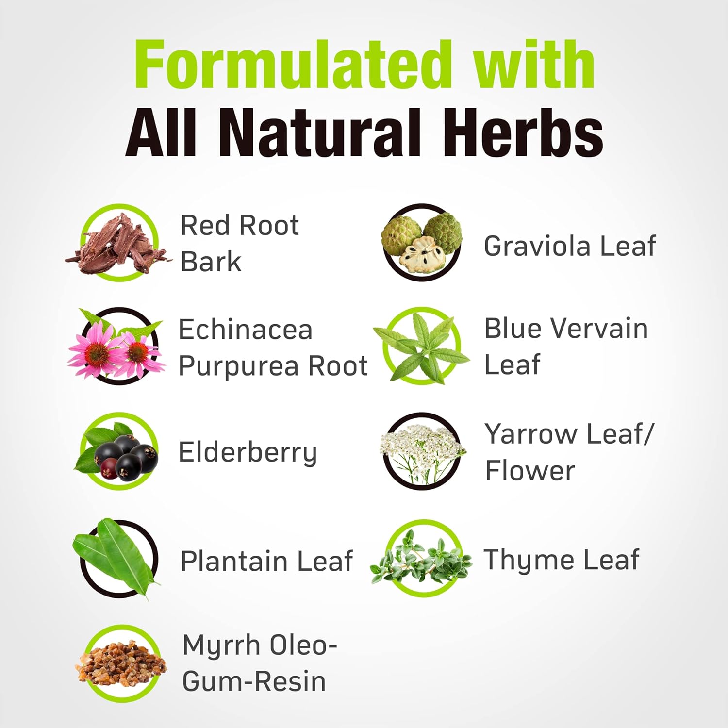 Cedar Bear Naturales Lymphatic Cleanse Supplement - Alcohol-Free Liquid Herbal Drops for Immune Support and Drainage, 1 fl oz