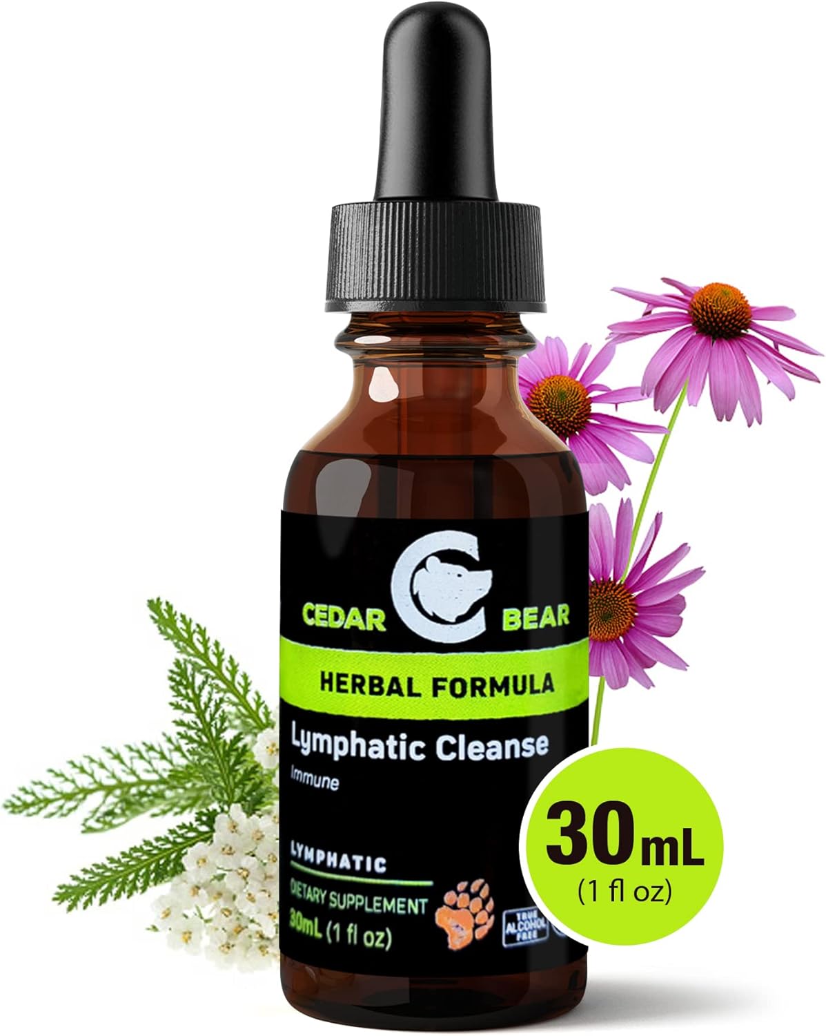 Cedar Bear Naturales Lymphatic Cleanse Supplement - Alcohol-Free Liquid Herbal Drops for Immune Support and Drainage, 1 fl oz