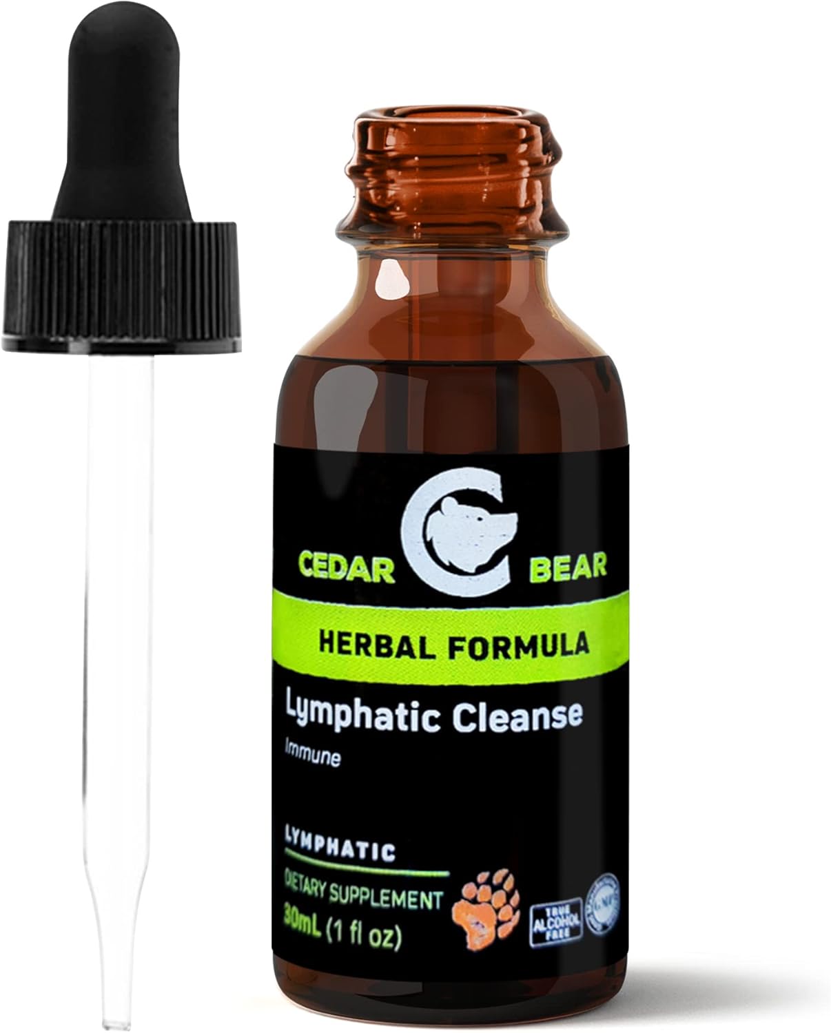 Cedar Bear Naturales Lymphatic Cleanse Supplement - Alcohol-Free Liquid Herbal Drops for Immune Support and Drainage, 1 fl oz