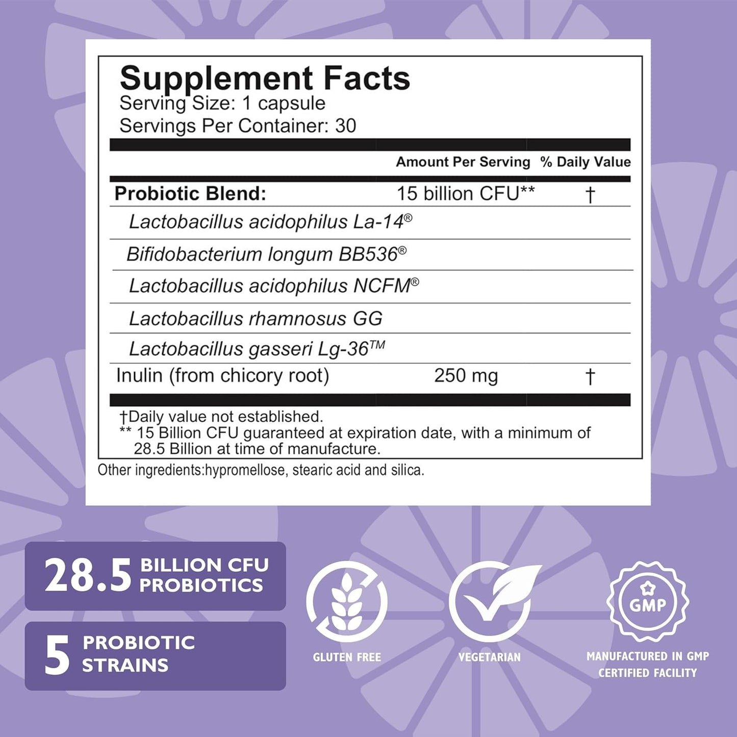 Celebrate Bariatric Essentials Bundle - Complete Nutritional Support for WLS Patients - Multivitamin, Iron Chewables, Probiotic + Prebiotic