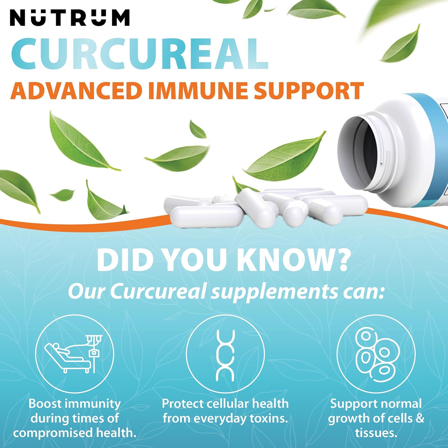 Cellular Health Immune Support Supplements with Curcumin & Fucoidan - 90 Vegan Capsules by Nutrum