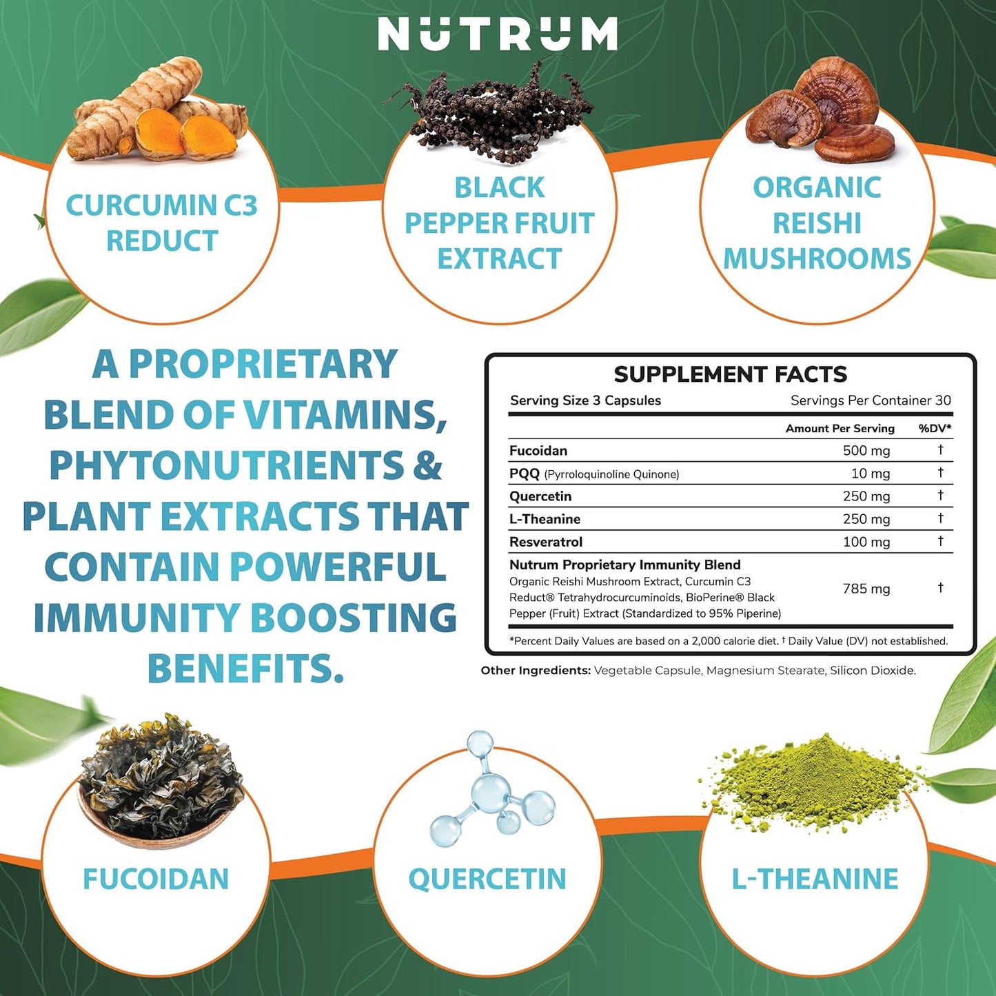 Cellular Health Immune Support Supplements with Curcumin & Fucoidan - 90 Vegan Capsules by Nutrum
