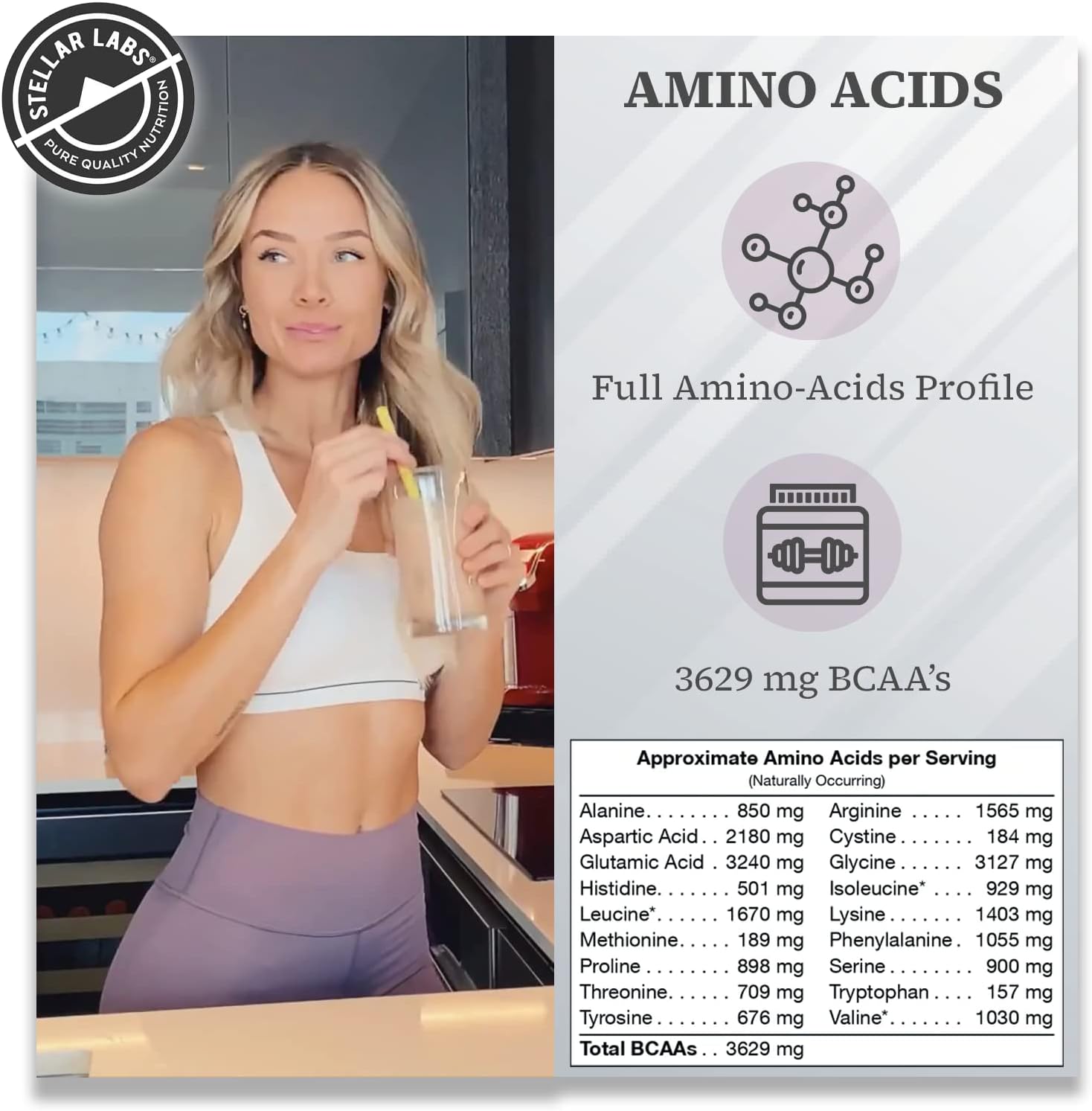 Certified Low FODMAP Vegan Protein Powder with BCAA's, Antioxidants, and Stevia - Gluten Free, Soy Free, Low Carb Chocolate Shakes