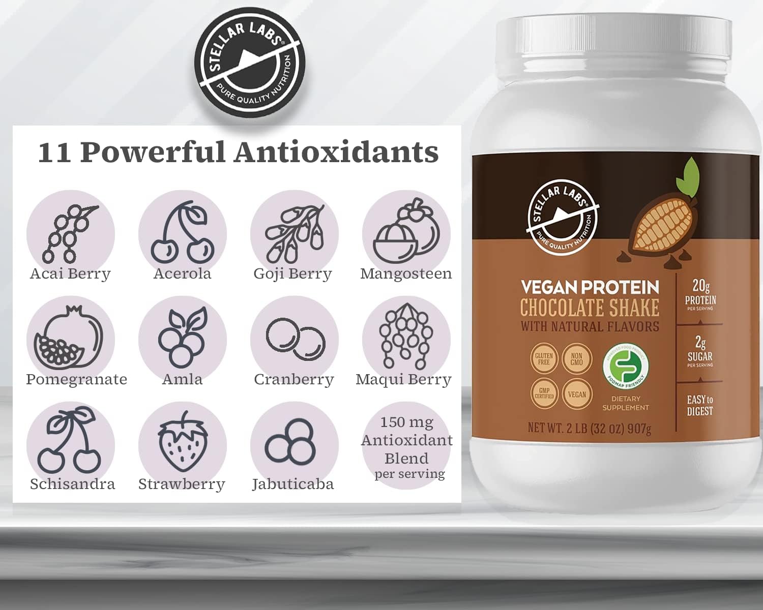 Certified Low FODMAP Vegan Protein Powder with BCAA's, Antioxidants, and Stevia - Gluten Free, Soy Free, Low Carb Chocolate Shakes