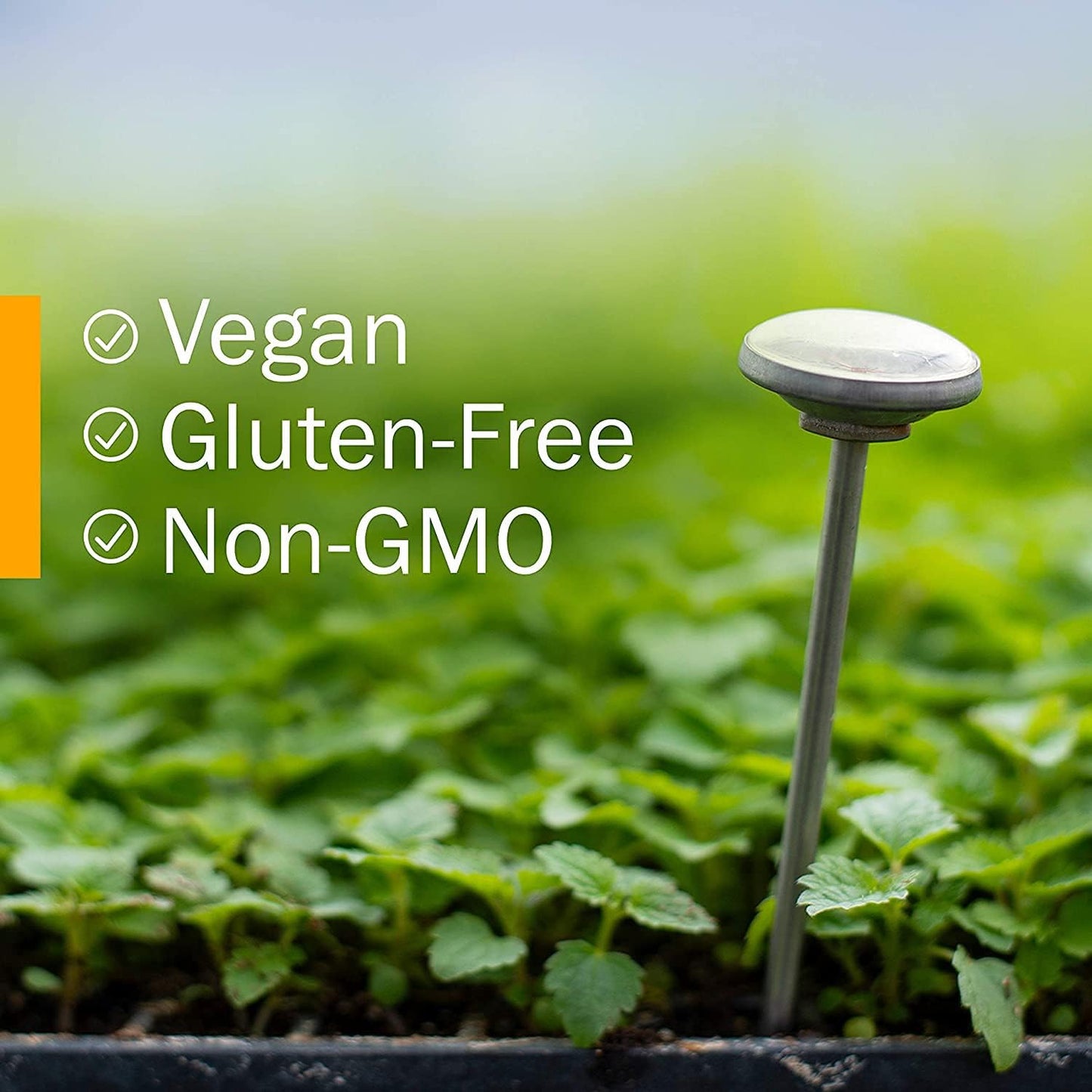 Certified Organic Ashwagandha Extract for Energy and Vitality - Herb Pharm - 1 oz