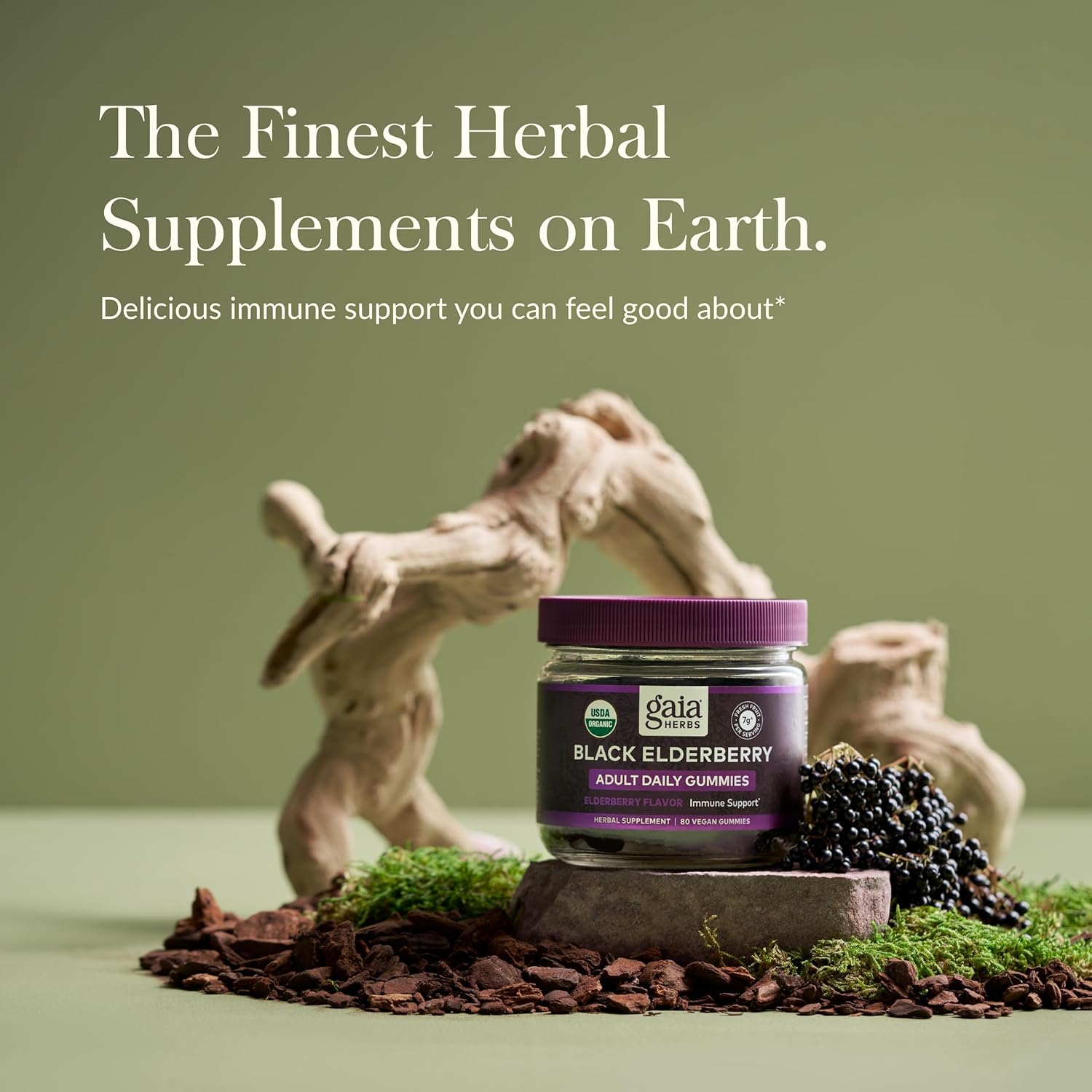 Certified Organic Black Elderberry Adult Daily Gummies for Immune Support - 80 Gummies (40-Day Supply) - Gaia Herbs