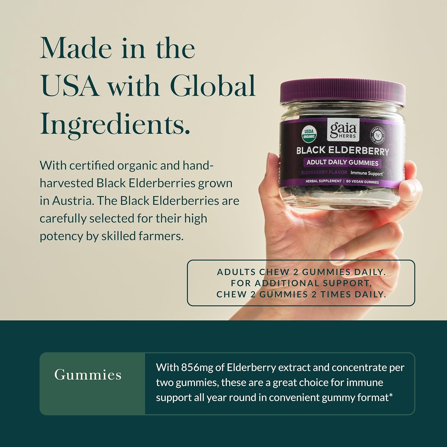 Certified Organic Black Elderberry Adult Daily Gummies for Immune Support - 80 Gummies (40-Day Supply) - Gaia Herbs