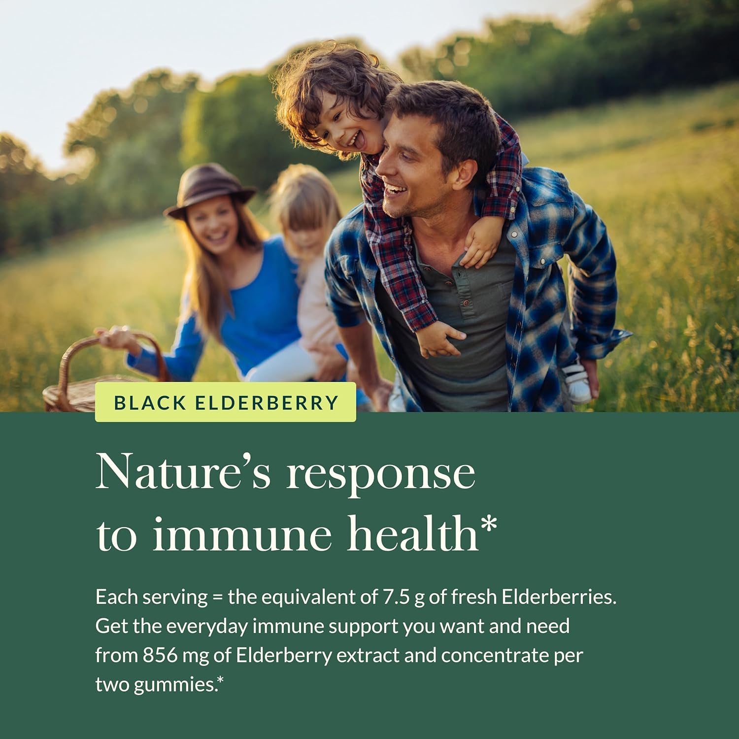 Certified Organic Black Elderberry Adult Daily Gummies for Immune Support - 80 Gummies (40-Day Supply) - Gaia Herbs