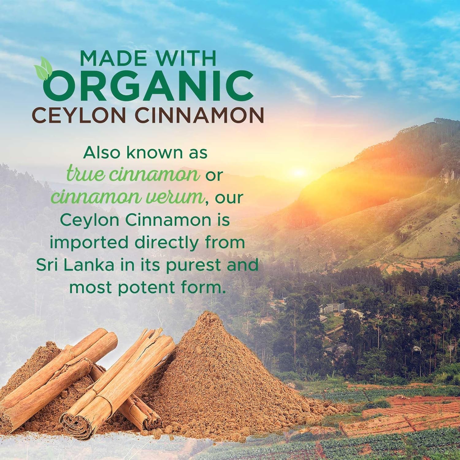 Certified Organic Ceylon Cinnamon Capsules - 1800mg Pure Cinnamon Supplements - Vegan Antioxidant Pills - Non-GMO Gluten Free - 120 Count