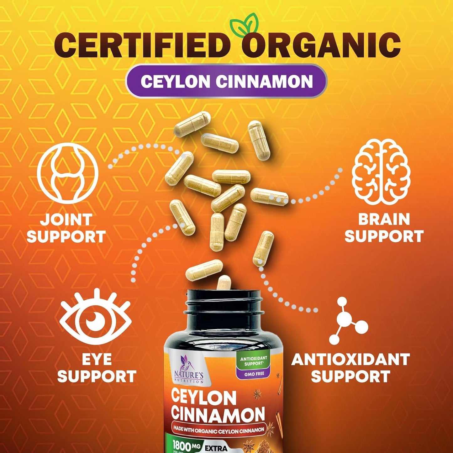 Certified Organic Ceylon Cinnamon Capsules - Non-GMO, Gluten-Free, Dairy-Free - 240 Pills - Vegan Cinnamomum Supplement