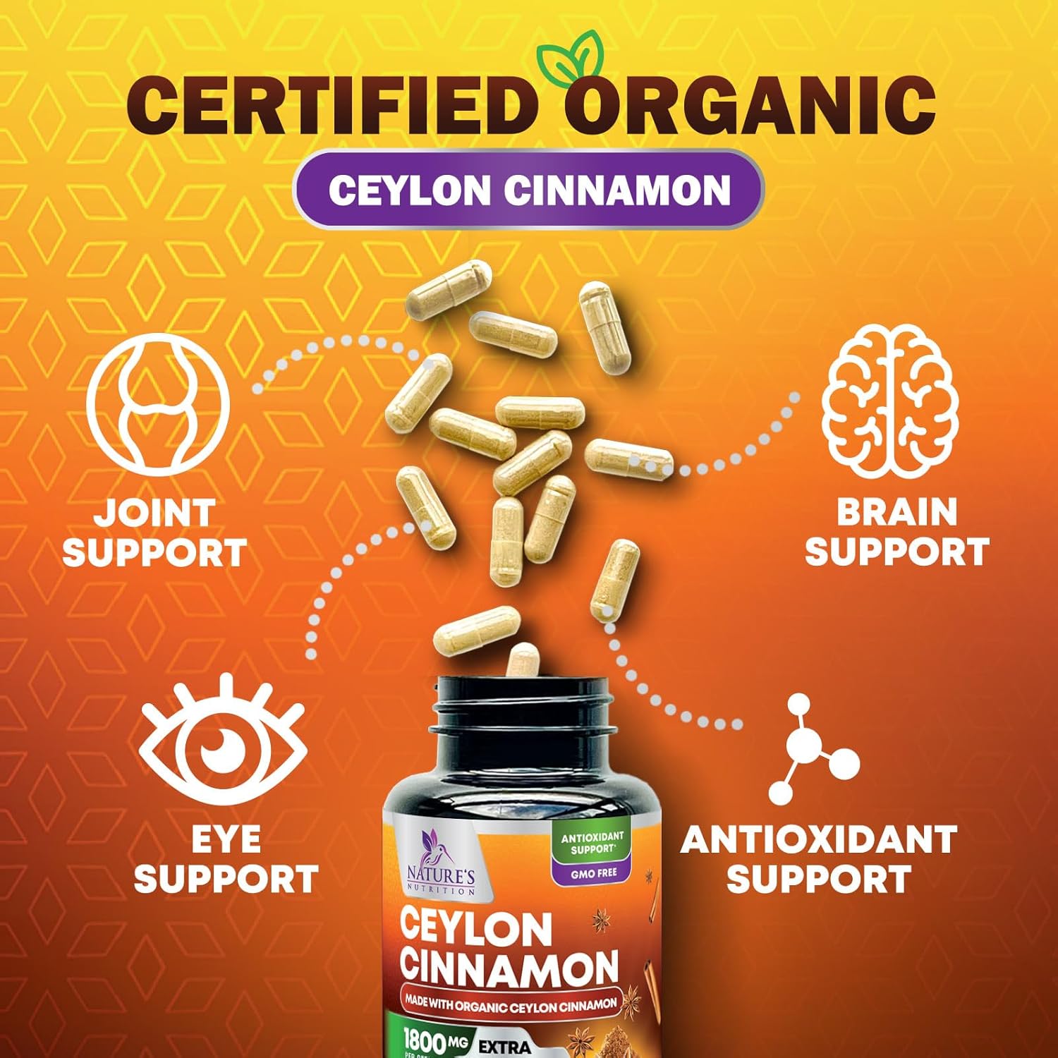 Certified Organic Ceylon Cinnamon Capsules - Non-GMO, Gluten-Free, Dairy-Free - 240 Pills - Vegan Cinnamomum Supplement