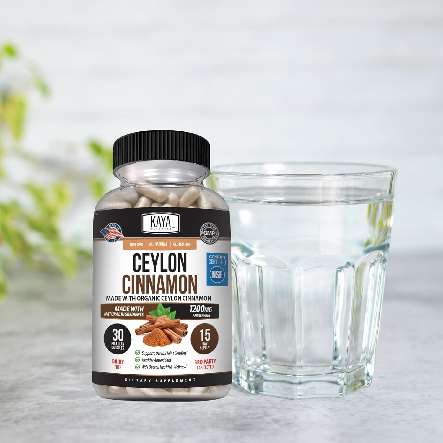 Certified Organic Ceylon Cinnamon Supplement - 1200mg per Serving | Vegan & Non-GMO - 30 Capsules