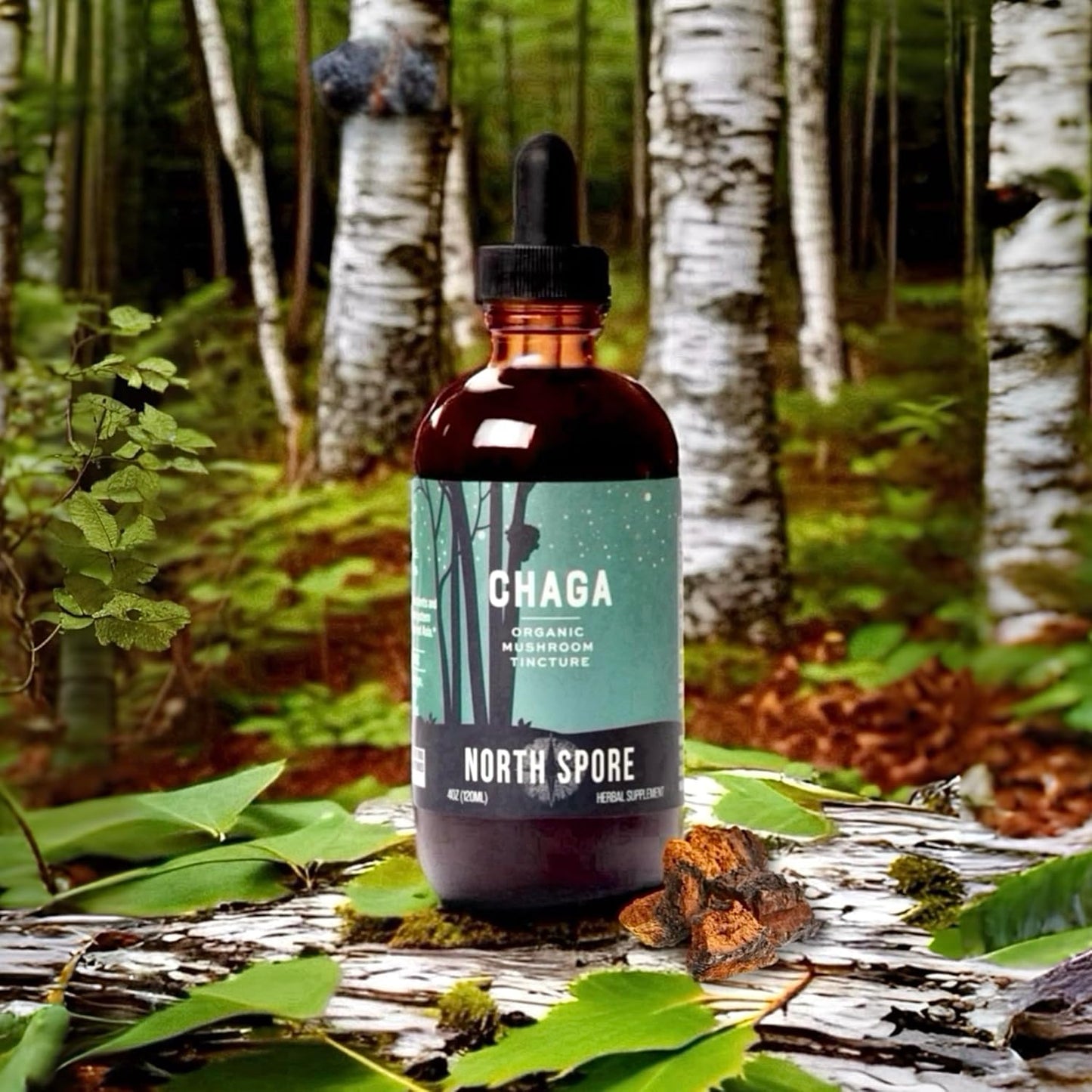 Certified Organic Chaga Mushroom Tincture (4 oz) | Immune Support, Energy, & Balance | Vegan, Non-GMO | Adaptogenic, Nootropic | Made in USA