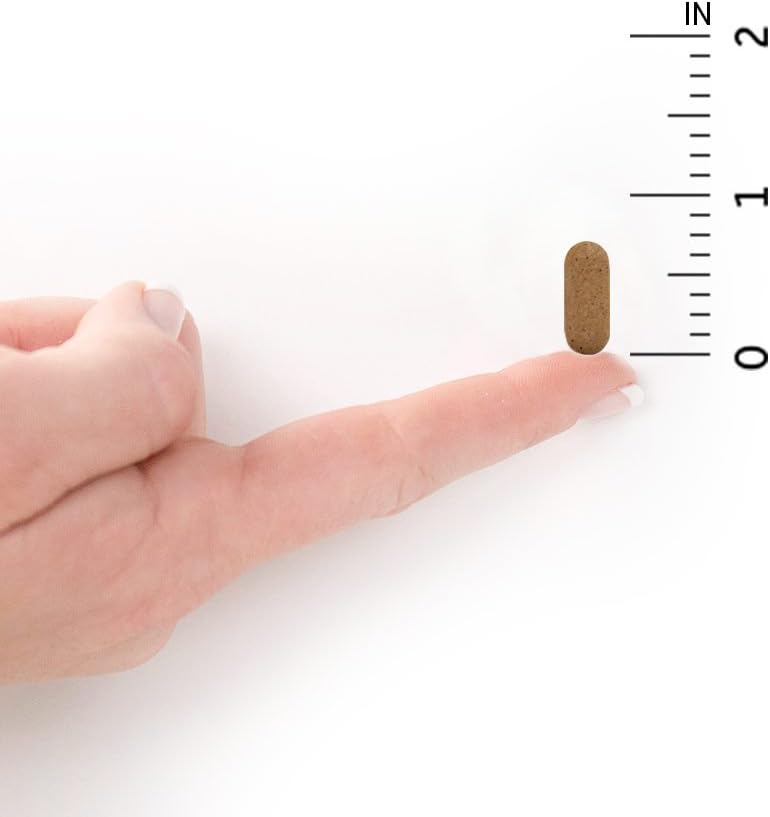 Certified Organic Garden of Life Vitamin C with Antioxidants & Citrus Bioflavonoids - Non-GMO Whole Food Supplement, 60 Count