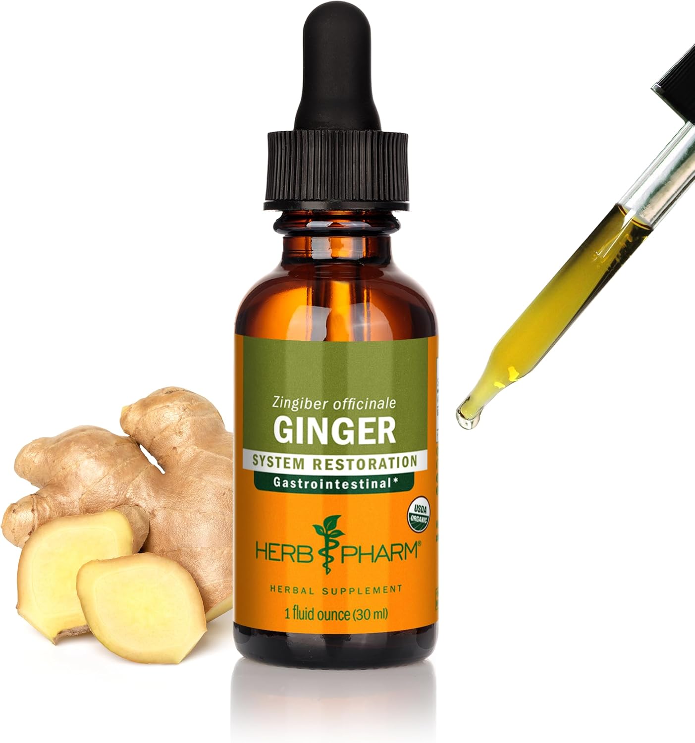 Certified Organic Ginger Liquid Extract for Digestive Support - 1 Ounce by Herb Pharm