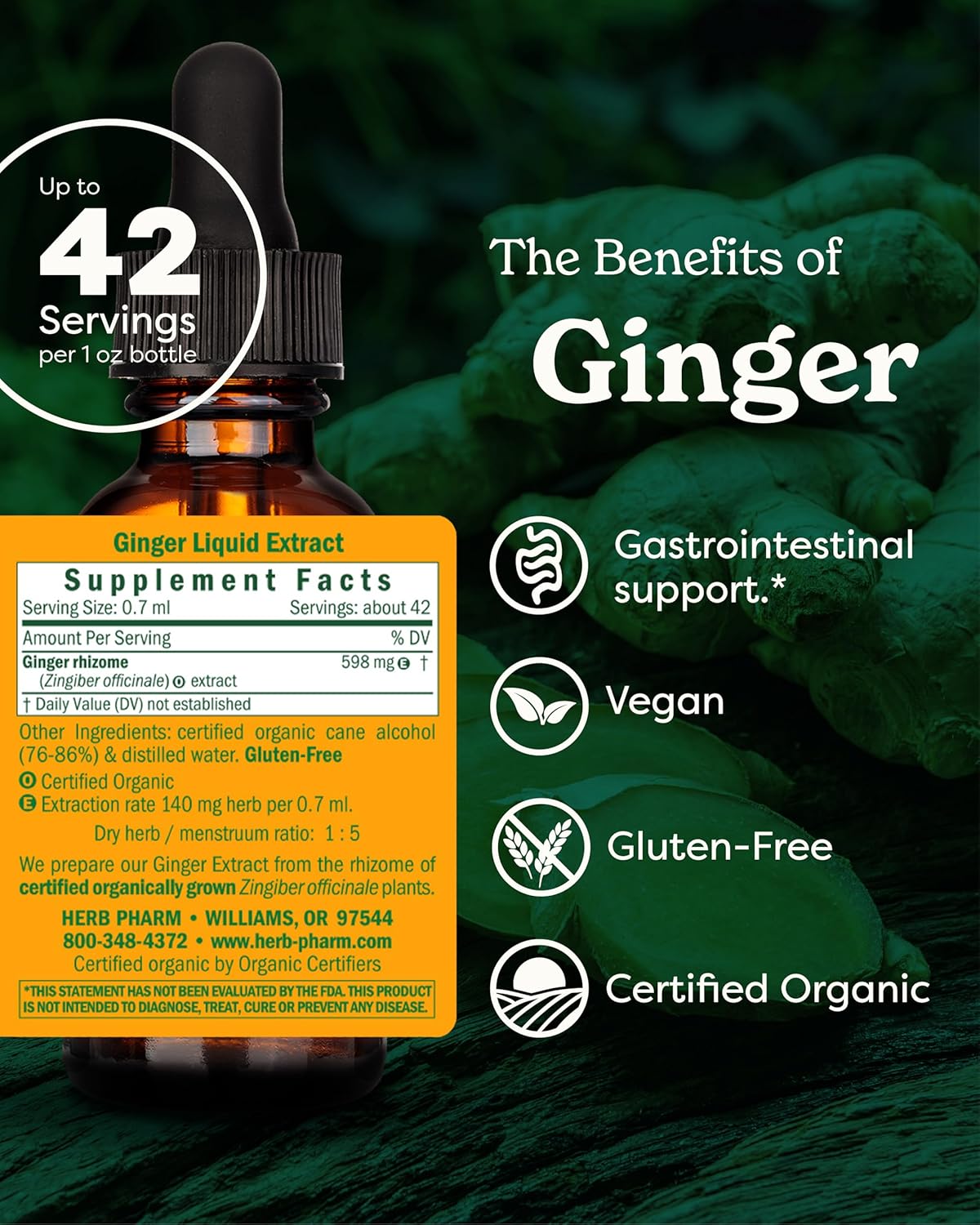 Certified Organic Ginger Liquid Extract for Digestive Support - 1 Ounce by Herb Pharm