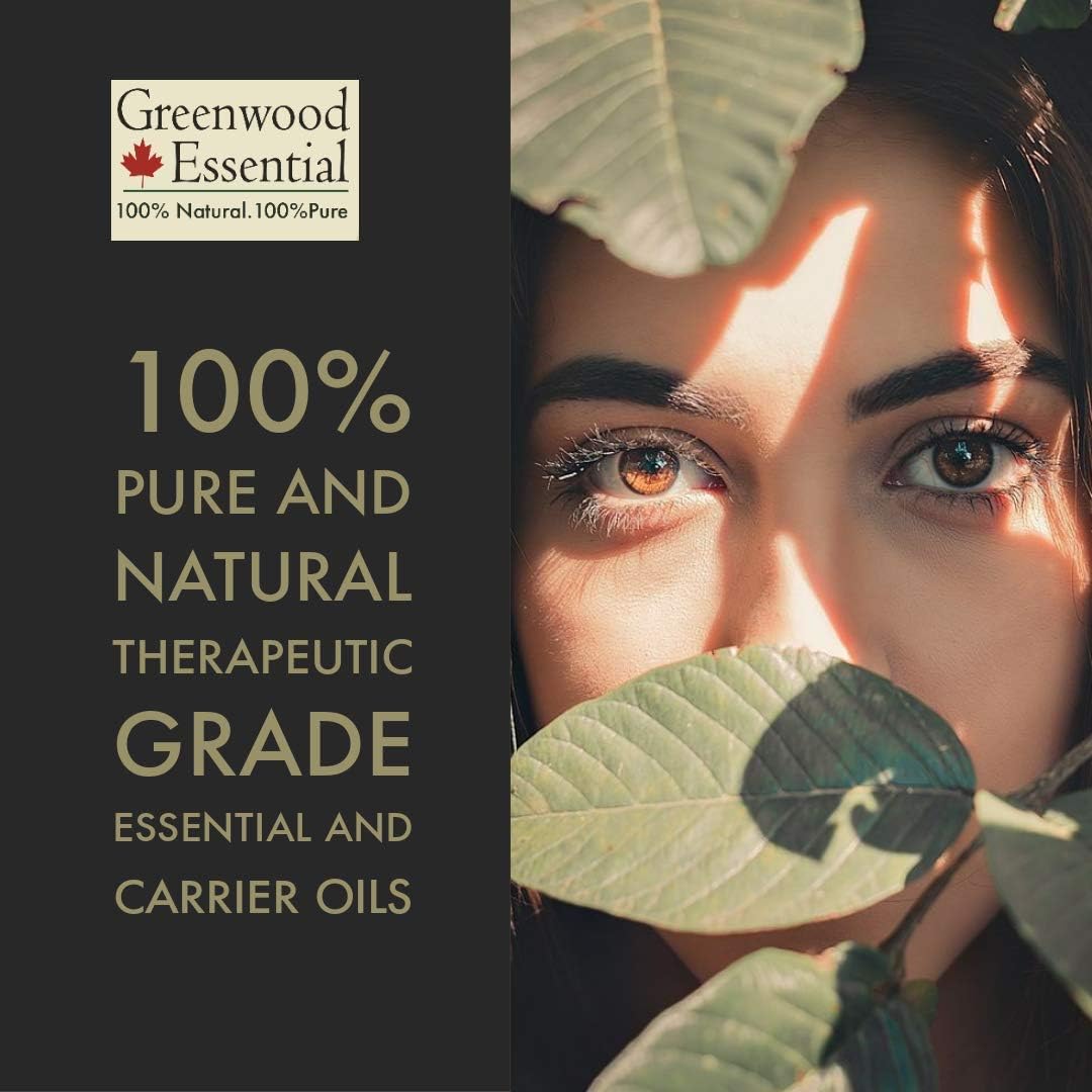 Certified Organic Greenwood Essential Pure Amla Powder - 100% Natural Therapeutic Grade 100gm