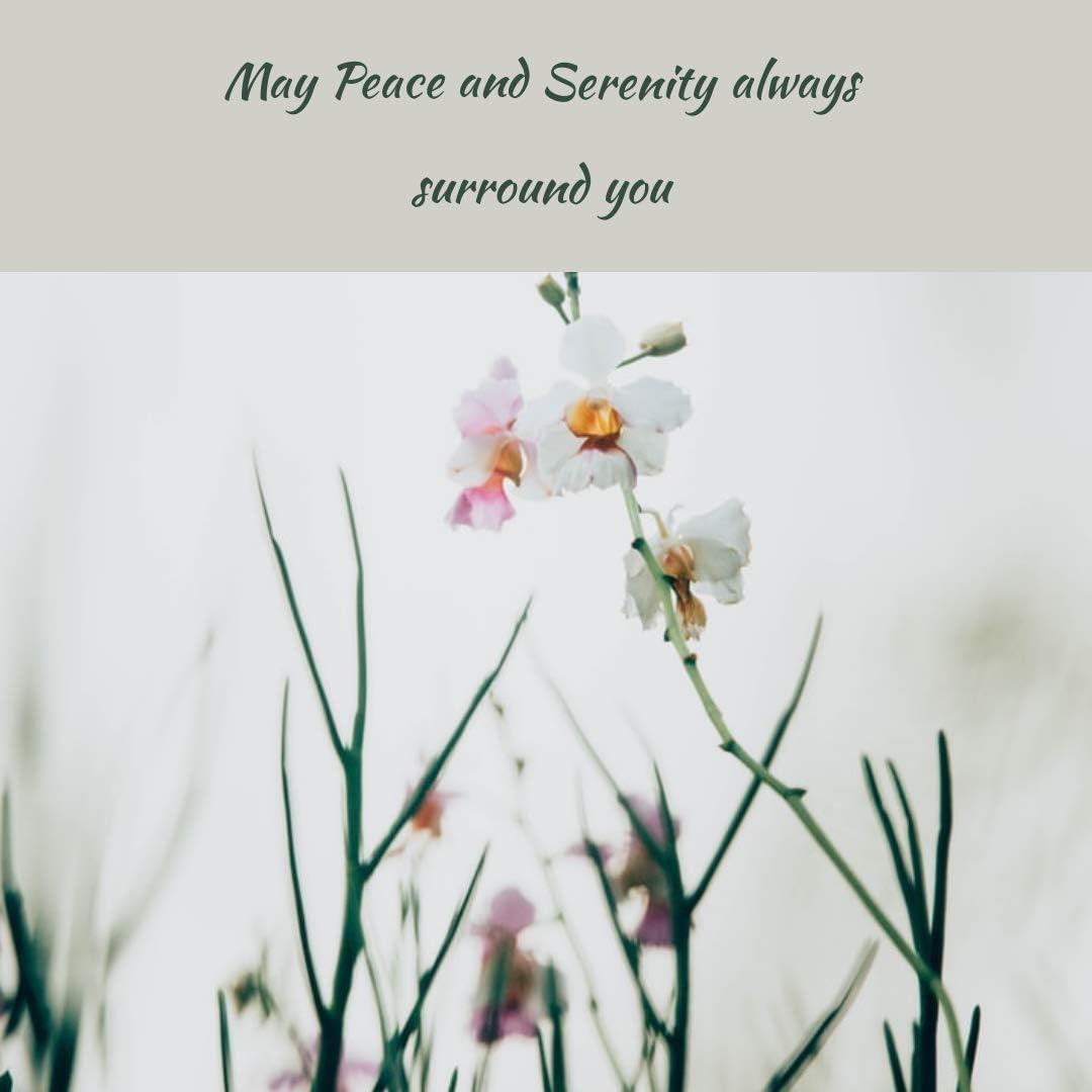 Certified Organic Greenwood Essential Pure Amla Powder - 100% Natural Therapeutic Grade 100gm