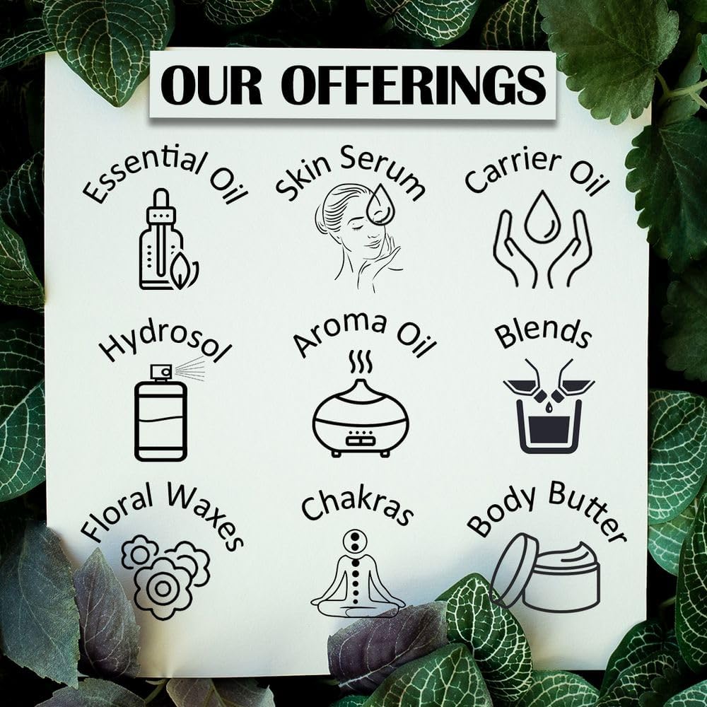 Certified Organic Greenwood Essential Pure Amla Powder - 100% Natural Therapeutic Grade 100gm