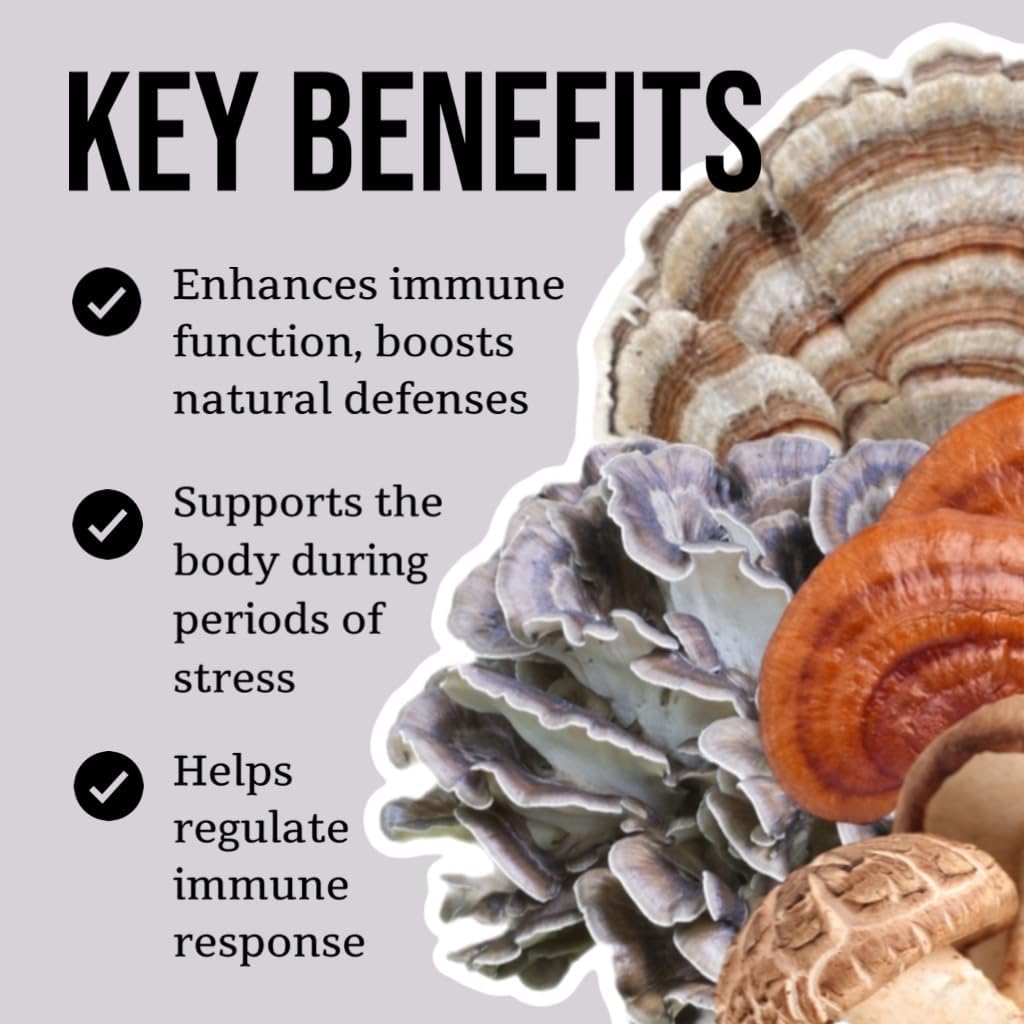 Certified Organic Immune Support Mushroom Tincture (2 oz) | Fruiting Body Extracts | Reishi, Chaga, Turkey Tail, Maitake, Shiitake | Vegan, Non-GMO | Made in USA