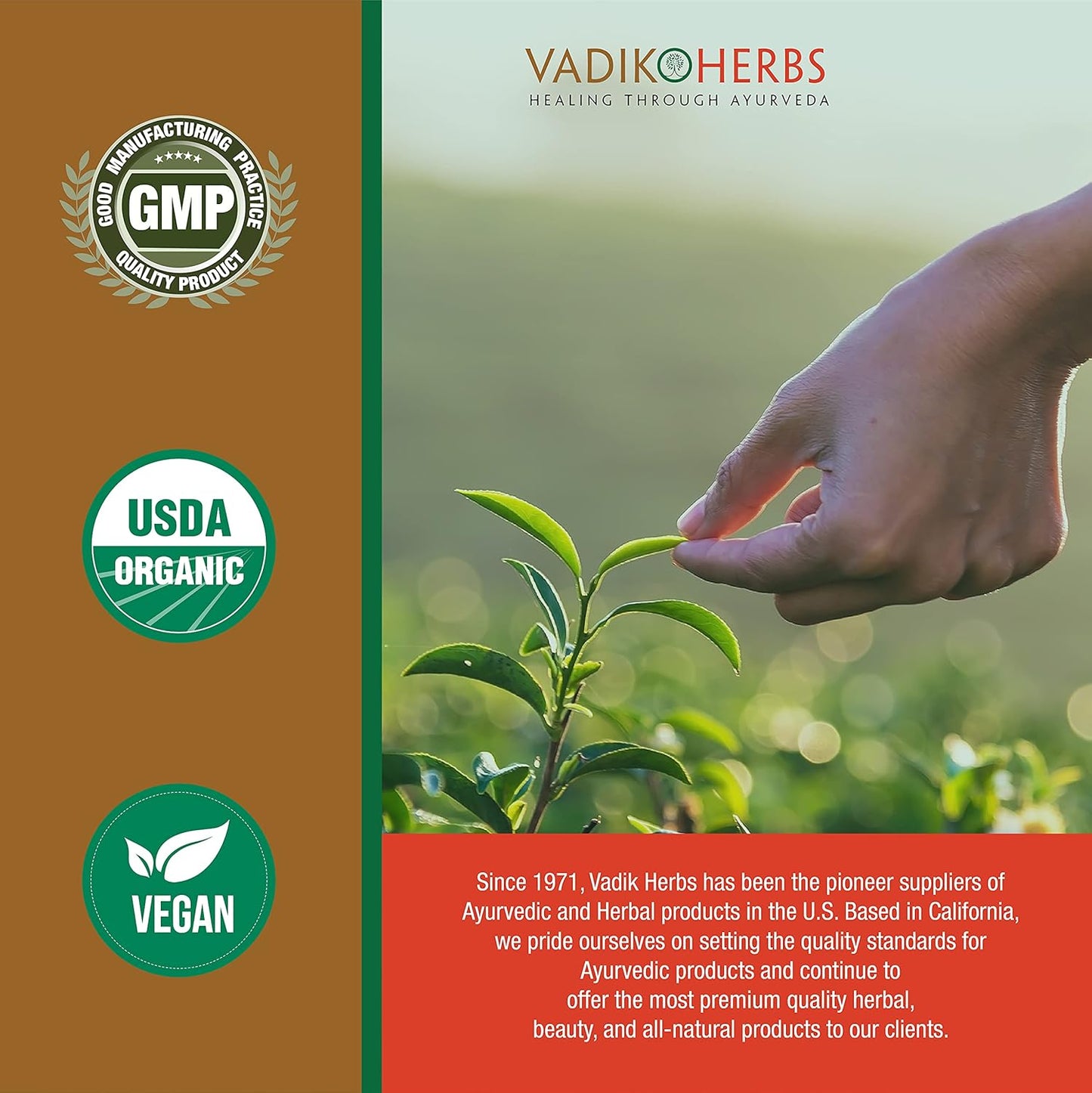Certified Organic Kalmegh Powder Vegicaps for Immune & Liver Health - Vadik Herbs