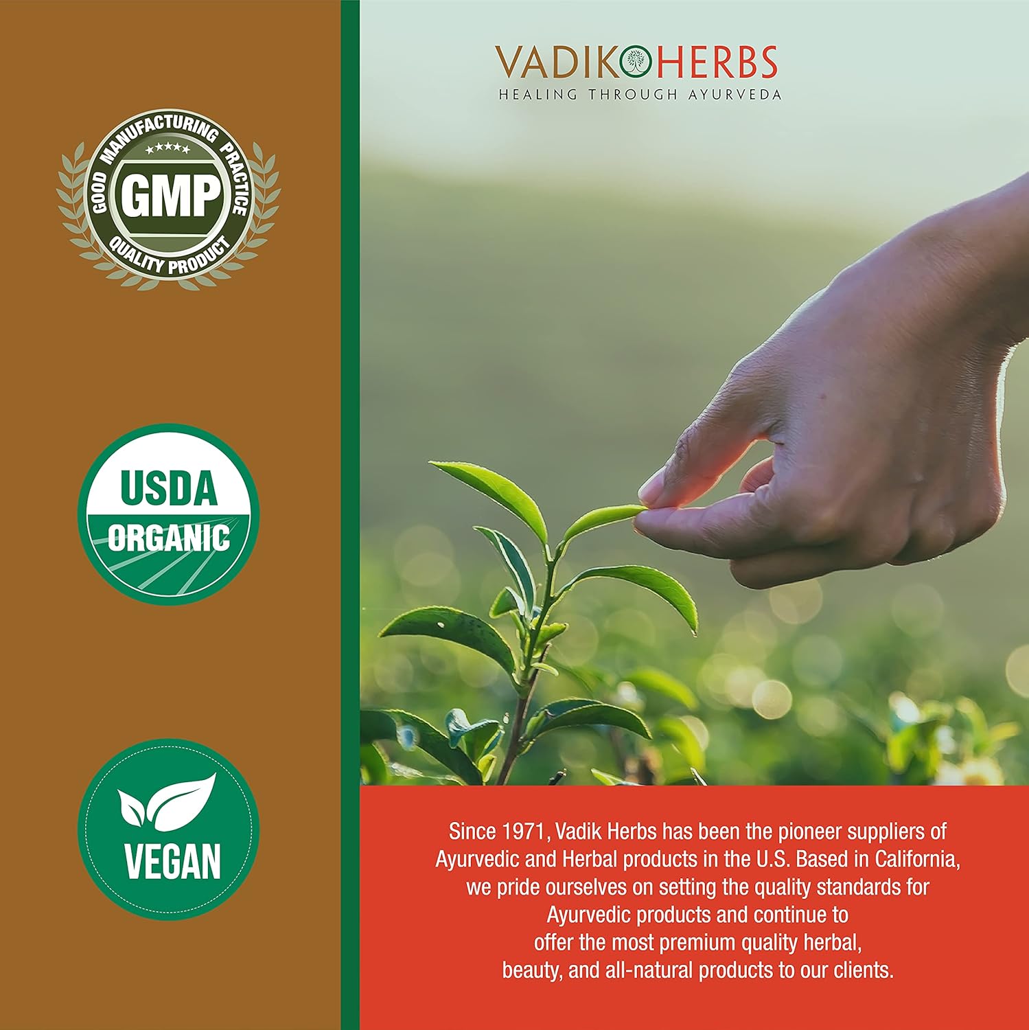 Certified Organic Kalmegh Powder Vegicaps for Immune & Liver Health - Vadik Herbs