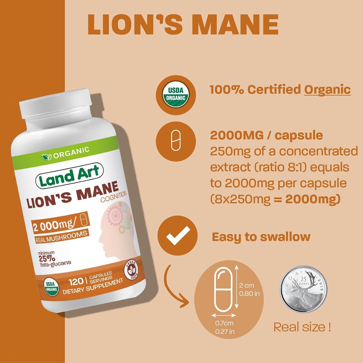 Certified Organic Lion's Mane Extract - 2000mg - 120 Days Supply - Cognitive Support & Mental Clarity - Multiple Extraction Formula