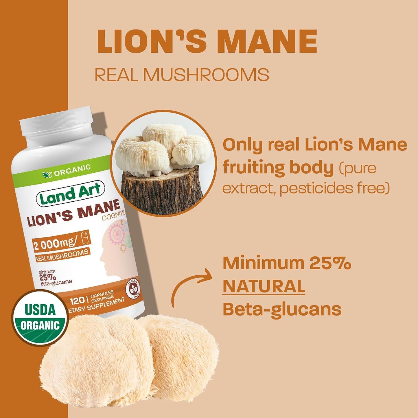 Certified Organic Lion's Mane Extract - 2000mg - 120 Days Supply - Cognitive Support & Mental Clarity - Multiple Extraction Formula