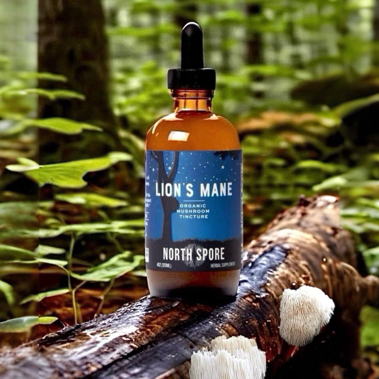 Certified Organic Lion's Mane Mushroom Tincture (2 oz) | USA-Made Fruiting Body Extract | Boost Focus & Memory | Vegan & Non-GMO | Adaptogenic Nootropic