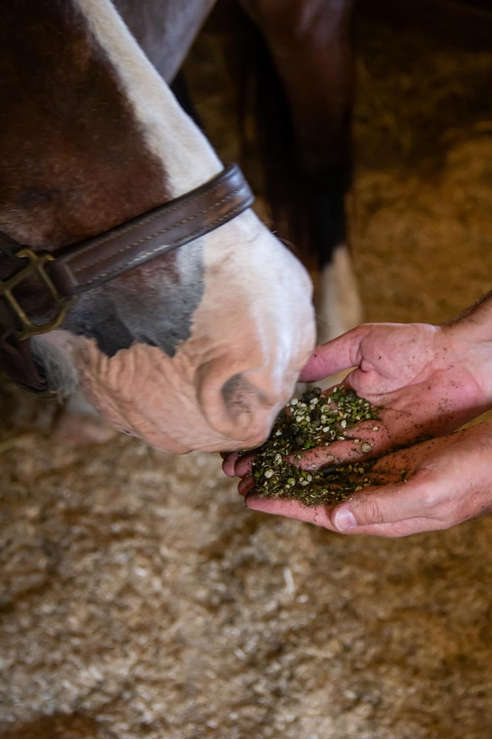 Certified Organic Low Starch Horse Feed for Metabolic Disorders | Corn and Soy-Free | 16% Protein | Non-GMO | 40 lbs