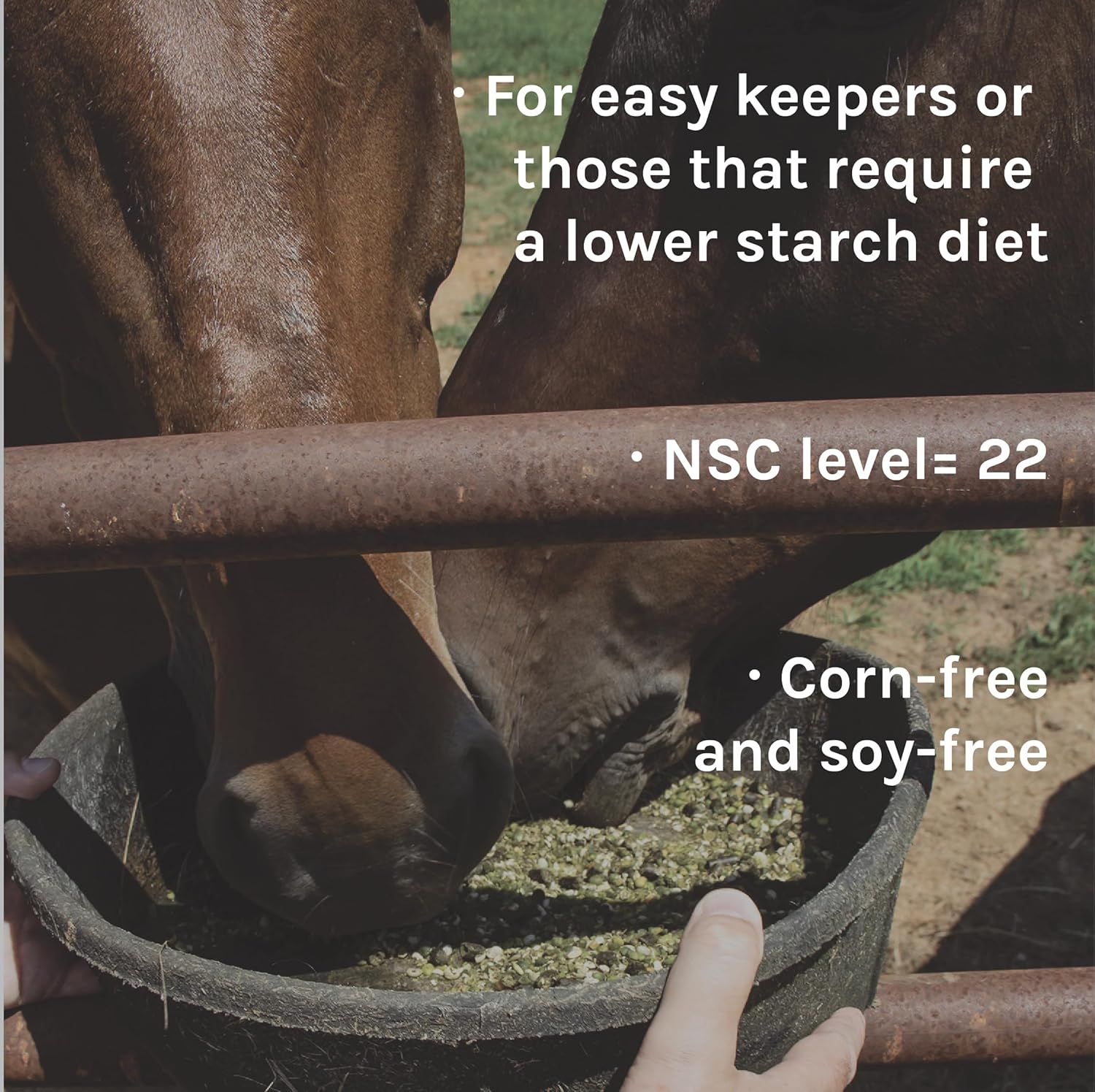 Certified Organic Low Starch Horse Feed for Metabolic Disorders | Corn and Soy-Free | 16% Protein | Non-GMO | 40 lbs