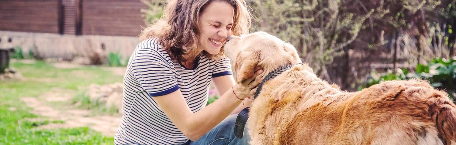 Certified Organic Mushroom Enhanced Dog Health Supplement for 30-70 lbs Dogs - 60 Chews - Veterinarian Recommended Booster