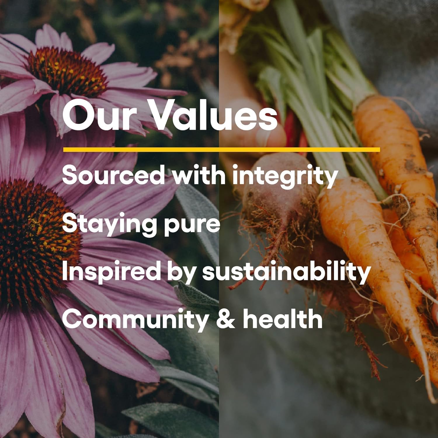 Certified Organic Oil of Oregano for Immune Support - Vegan Herbal Supplement, 2 Oz Bottle