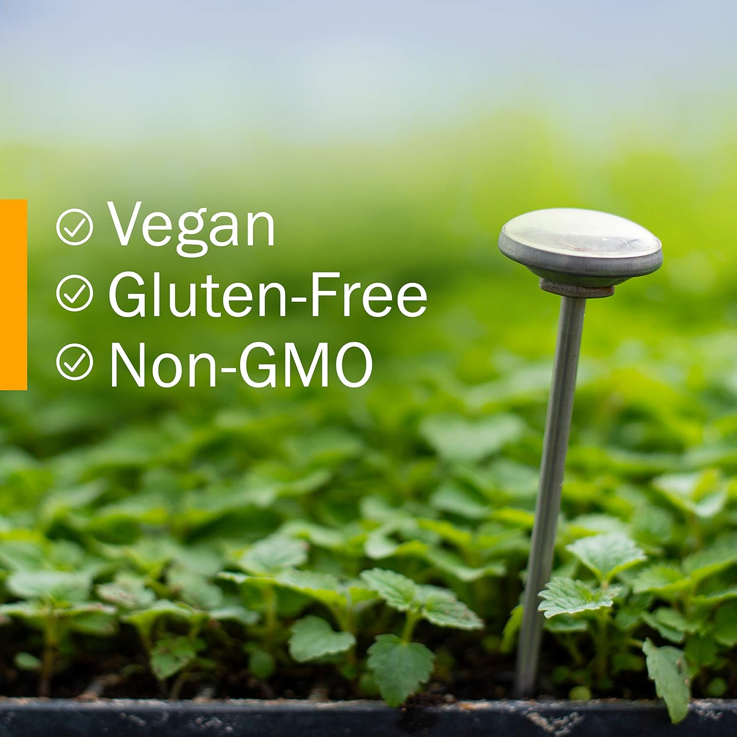 Certified Organic Olive Leaf Liquid Extract - Immune System Support - 1oz