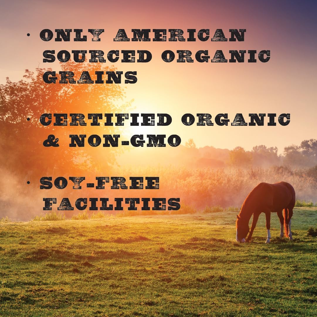 Certified Organic Performance Horse Feed with 12% Protein - Corn-Free and Soy-Free - 40 lbs Horse Feeder with Grains and Oats - Ideal for Horses in Light to Moderate Work