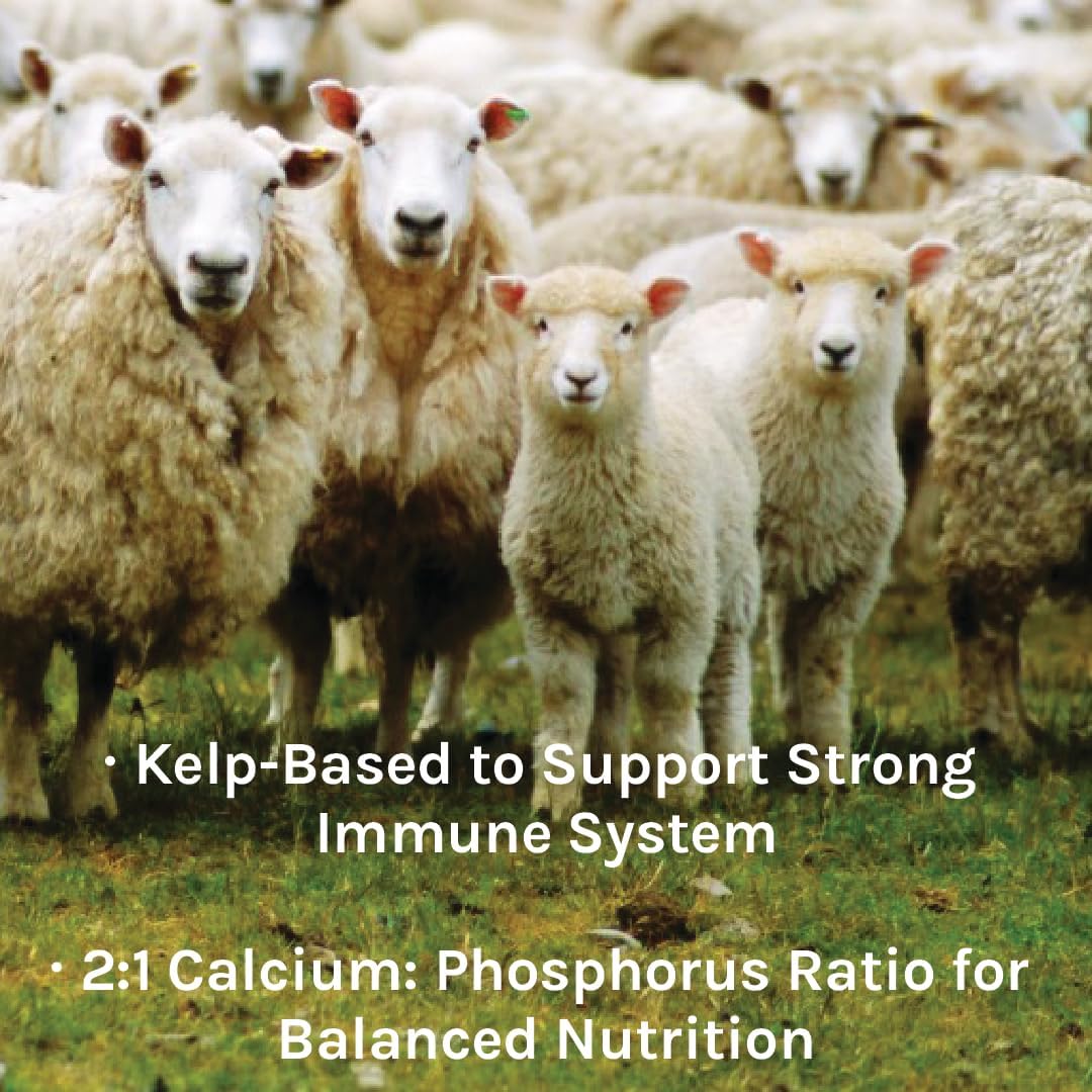 Certified Organic Sheep Kelp Minerals 40 lbs - Non-GMO Healthy Sheep Feeder by New Country Organics