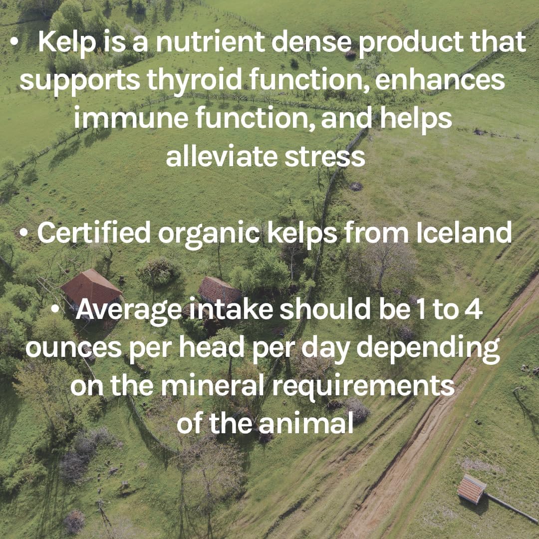 Certified Organic Sheep Kelp Minerals 40 lbs - Non-GMO Healthy Sheep Feeder by New Country Organics