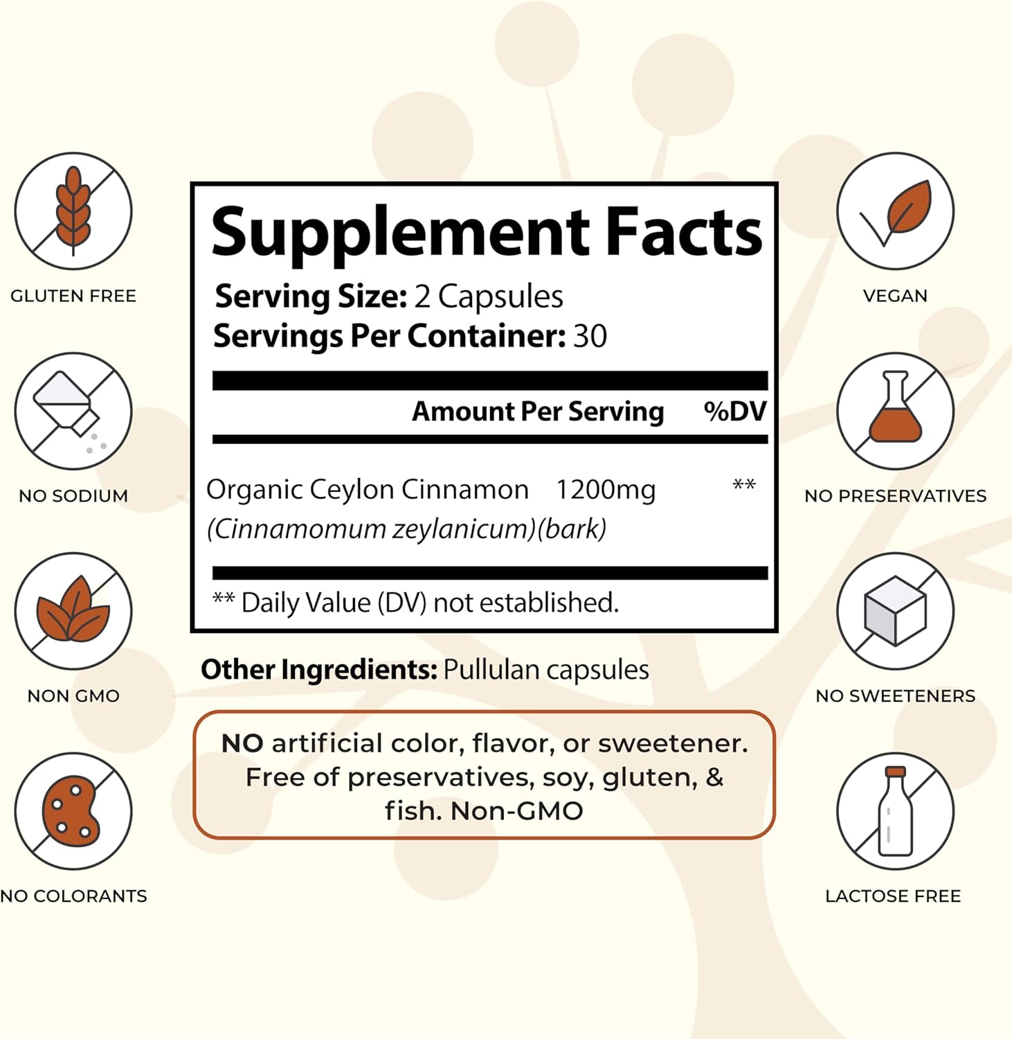 Certified Organic Socotra Health Ceylon Cinnamon Capsules - Non-GMO, Gluten Free, Antioxidant Benefits, Healthy Metabolism Support, Natural Energy Supplement - 60 Vegan Capsules